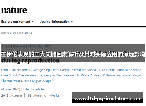霍伊伦表现的三大关键因素解析及其对实际应用的深远影响